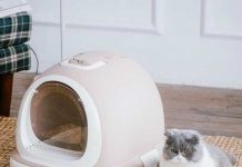 Выбор туалета для кошки: руководство к действию Лоток для кошек