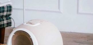 Выбор туалета для кошки: руководство к действию Лоток для кошек