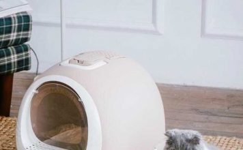 Выбор туалета для кошки: руководство к действию Лоток для кошек